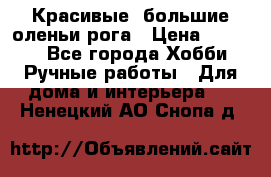 Красивые  большие оленьи рога › Цена ­ 3 000 - Все города Хобби. Ручные работы » Для дома и интерьера   . Ненецкий АО,Снопа д.